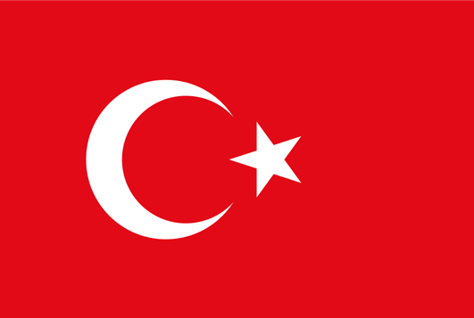 Türkçe